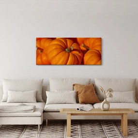 Obraz - Veľké tekvice (120x50 cm)