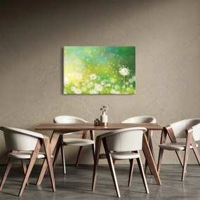 Obraz - Odkvitnuté púpavy (90x60 cm)