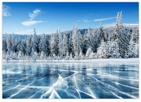 Sklenený obraz zamrznutého jazera a zasnežených stromov (70x50 cm)