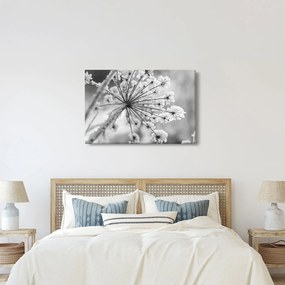 Obraz - Kvetina v zime (90x60 cm)