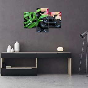 Obraz - Kamene a orchidey (90x60 cm)