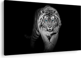 Obraz - Tiger s modrými očami (90x60 cm)