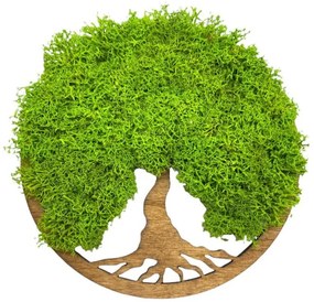 Strom na stenu z machu Aine 20 cm