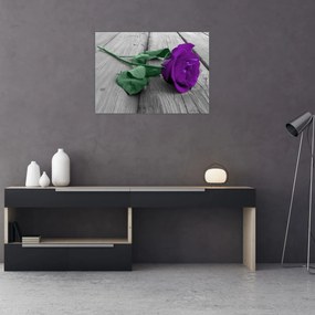 Sklenený obraz - Fialová ruža so zelenou stonkou (70x50 cm)