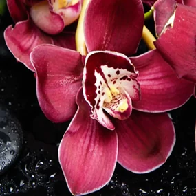 Gario Paraván Orchidea s bambusom Rozmery: 180 x 170 cm, Prevedenie: Otočný paraván 360°