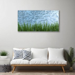 Obraz Canvas Tráva voda príroda 120x60 cm