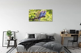 Obraz na plátne Farebné papagáj na vetve 100x50 cm