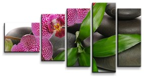 Sablio Obraz - 5-dílný Orchidey a kamene - 100x60 cm