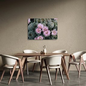 Sklenený obraz kvet kaktusu (70x50 cm)