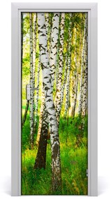Fototapeta na dvere samolepiace Břízová les 75x205 cm