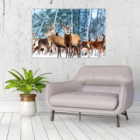Obraz - Stádo jeleňov (90x60 cm)