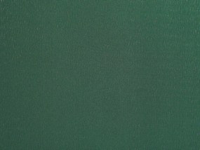 Paraván 5 dielny 270 x 170 cm zelený NARNI Beliani