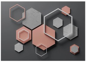 Artgeist Fototapeta - Hexagon Plan Veľkosť: 300x210, Verzia: Standard
