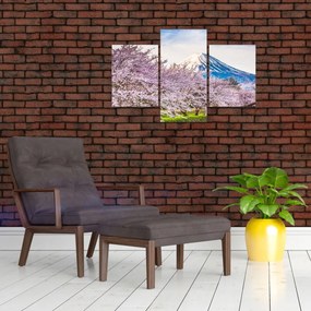 Obraz - Japonsko na jar (90x60 cm)