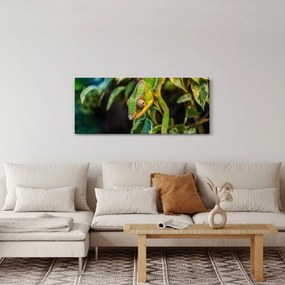 Obraz chameleóna (120x50 cm)