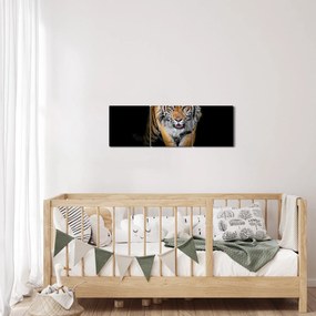 Obraz - Tiger (s hodinami) (90x30 cm)