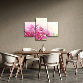 Obraz - Ružové kvety (90x60 cm)