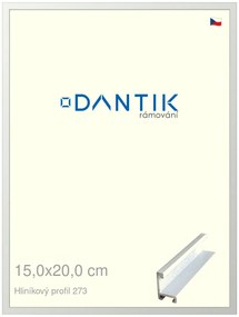 DANTIK rám na obraz 15x20 | ALU Bílá matná (Sklo Čiré)