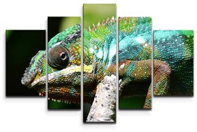 Sablio Obraz - 5-dílný Chameleón - 125x90 cm