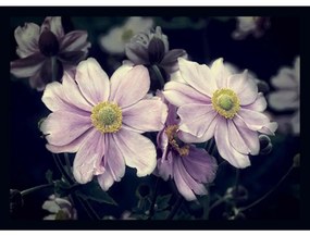 Rohožka 40x60 flower 02060090