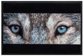 Premium rohožka- zvieratá - vlk (Vyberte veľkosť: 60*40 cm)