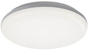 Rabalux 7979 - LED Vonkajšie stropné svietidlo ERIC LED/24W/230V IP64