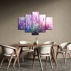 Obraz - Levanduľa vo trblietania slnka (150x105 cm)