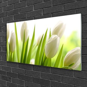 Obraz na skle Tulipány kvety 125x50 cm