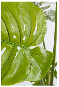 KARE DESIGN Dekoratívna rastlina Monstera 110 cm 110 × 50 × 40 cm