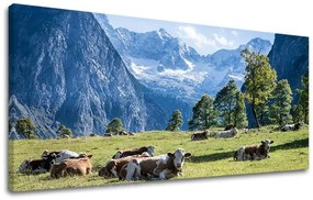 Obraz na stenu PANORÁMA KRAJINA | rôzne rozmery