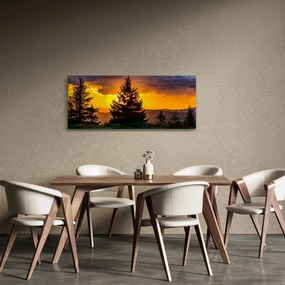 Obraz - ihličnany (120x50 cm)