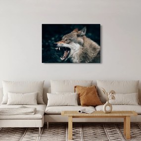 Obraz vlka (90x60 cm)