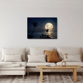 Sklenený obraz - Pláž za splnu (70x50 cm)