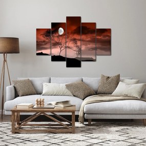 Obraz - Mesiac osvetľujúce noc (150x105 cm)