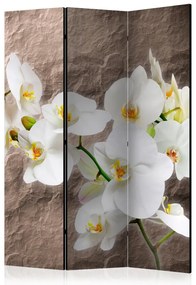 Artgeist Paraván - Impeccability of the Orchid [Room Dividers]