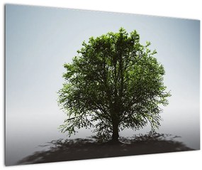 Obraz - Osamotený strom (90x60 cm)