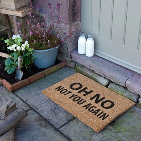 Rohožka z kokosového vlákna 40x60 cm Not You Again – Artsy Doormats