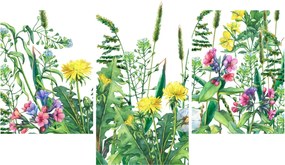 Obraz - Maľované lúčne kvety (90x60 cm)