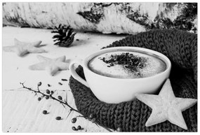 Obraz - Zimné cappuccino (90x60 cm)