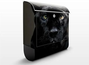 Poštová schránka Čierna puma