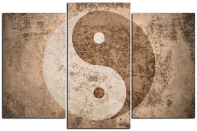 Obraz na plátne - Jin a jang symbol 1170C (150x100 cm)