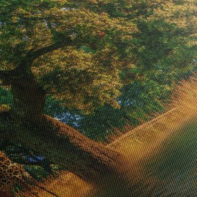 Obraz žirafy v prírode (90x60 cm)