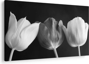 Obraz - Čiernobiele kvety tulipánov (90x60 cm)