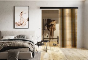 Posuvné dvere BELMA - dub sonoma/čierna / 100