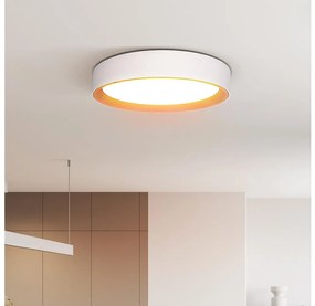 Solight WO8017 - LED Stm. strop. svietidlo LARIOS LED/48W/230V+DO pr.39 cm biela SL1612