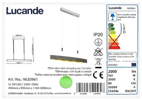 Lucande - LED Stmievateľný luster na lanku LIO 5xLED/5W/230V LW0759