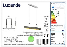 Lucande Lucande - LED Stmievateľný luster na lanku LIO 5xLED/5W/230V LW0759