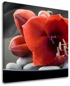 Obraz na stenu FENG SHUI | rôzne rozmery
