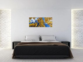 Obraz - Aspen (120x50 cm)