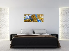 Obraz - Aspen (120x50 cm)